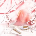 蓝莓 - 鸳鸯债
