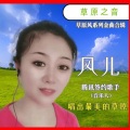 风儿 - 草原上的百灵鸟