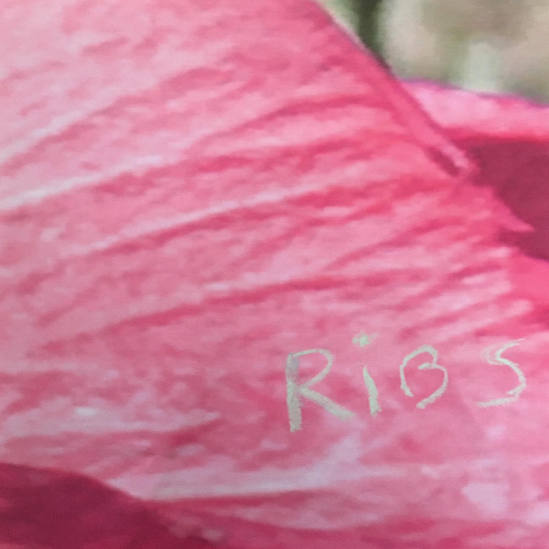 Tirzah - Ribs