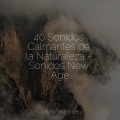 40 Sonidos Calmantes de la Naturaleza - Sonidos New Age