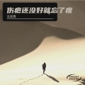 王庆西 - 伤疤还没好就忘了疼