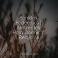 Música De Relajación Para Dormir Profundamente、Relajarse、Natureza Musica Bem-Estar Academia - Playa Rocosa
