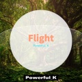 Powerful_K - Flight