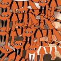 холли ветролов - Че за лев этот тигр