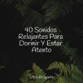 Musica Relajante Specialistas & Musica Relajante、Musica Relajante & Yoga、Ruido Blanco Para Bebes - Lirio