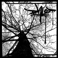 Phlo - Touche'