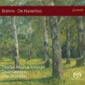 Piano Trio No. 1 in B Major, Op. 8 (1889 Version) : I. Allegro con brio