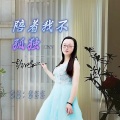 彭江红 - 陪着我不孤独