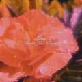 Łonc、Data Romance、Andrew Reyan - Don't You Worry