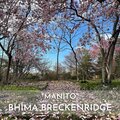 Bhima Breckenridge - Manito