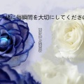 黎雨轩、南汐梦 - 阿刁