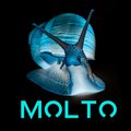 Molto