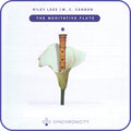 Riley Lee、Synchronicity - Diversity in Unity