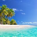 80HD - Island