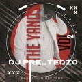 Dj Pre_Tedzo、De Soul、Amanda - Ngenelela