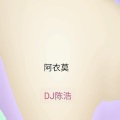 DJ陈浩 - 阿衣莫