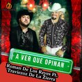 Traviezoz de la Zierra、Roman De Los Reyes - A ver que opinan