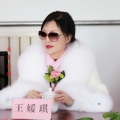 王媛琪 - 天下乡亲