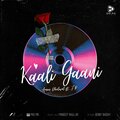 Kaali Gaani