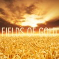 Fields of Gold