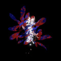 堇白 - 超度我