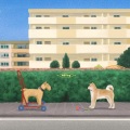 소근 - About