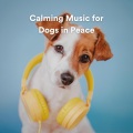 Calming Music for Dogs in Peace