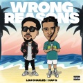 Wrong Reasons (Explicit)