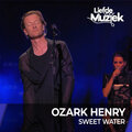Ozark Henry - Vuurwerk - Uit Liefde Voor Muziek