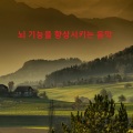 휴식과 명상을위한 음악、휴식을위한 자연 소리、명상 음악、뇌 기능을 향상시키는 음악 - 음악 치료 기억력 향상