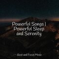 Deep Sleep、Study Power、Yoga Workout Music - Rosy Dreamtime