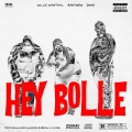 Hey Bolle (Explicit)