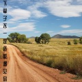 阿灿 - 下辈子不一定还能遇见你