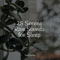 25 Gentle Rain Droplet Tracks
