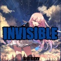 INVISIBLE (Explicit)