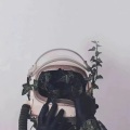 英文