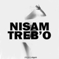 Nisam Treb'o (feat. oligarh)