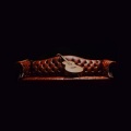 Red Couch Sessions