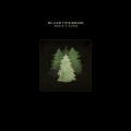 William Fitzsimmons - Annie's Song