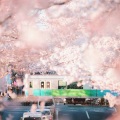 桀一Jeyee - 봄날 (Spring Day)