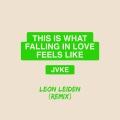 this is what falling in love feels like (Leon Leiden Remix)