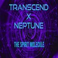Nigel Neptune、Transcend - The Spirit Molecule (Planet Neptune Recordings Special Remaster)