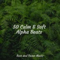 50 Calm & Soft Alpha Beats