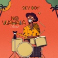 Sky Boy - No Wahala