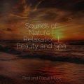 Sleeping Music、Yoga Sounds、Zen - Unwind