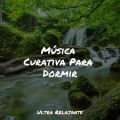 Meditação Maestro、Musica para Dormir Dream House、Canciones Infantiles de Niños - Toque De Plumas