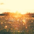 Fields of Gold (Piano Version)