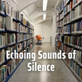 Echoing Sounds of Silence