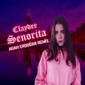 Agah Erdoğan、claydee - Senorita (feat. Claydee)(Remix|Explicit)