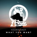 Dualhï、Iceleak - What You Want